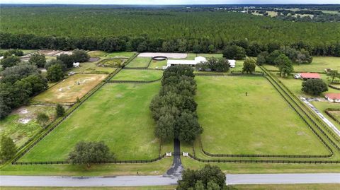 Tiny photo for 21051 SE 42nd Street, Morriston, FL 32668 (MLS # OM710904)