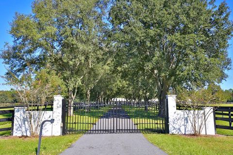 Tiny photo for 21051 SE 42nd Street, Morriston, FL 32668 (MLS # OM710904)