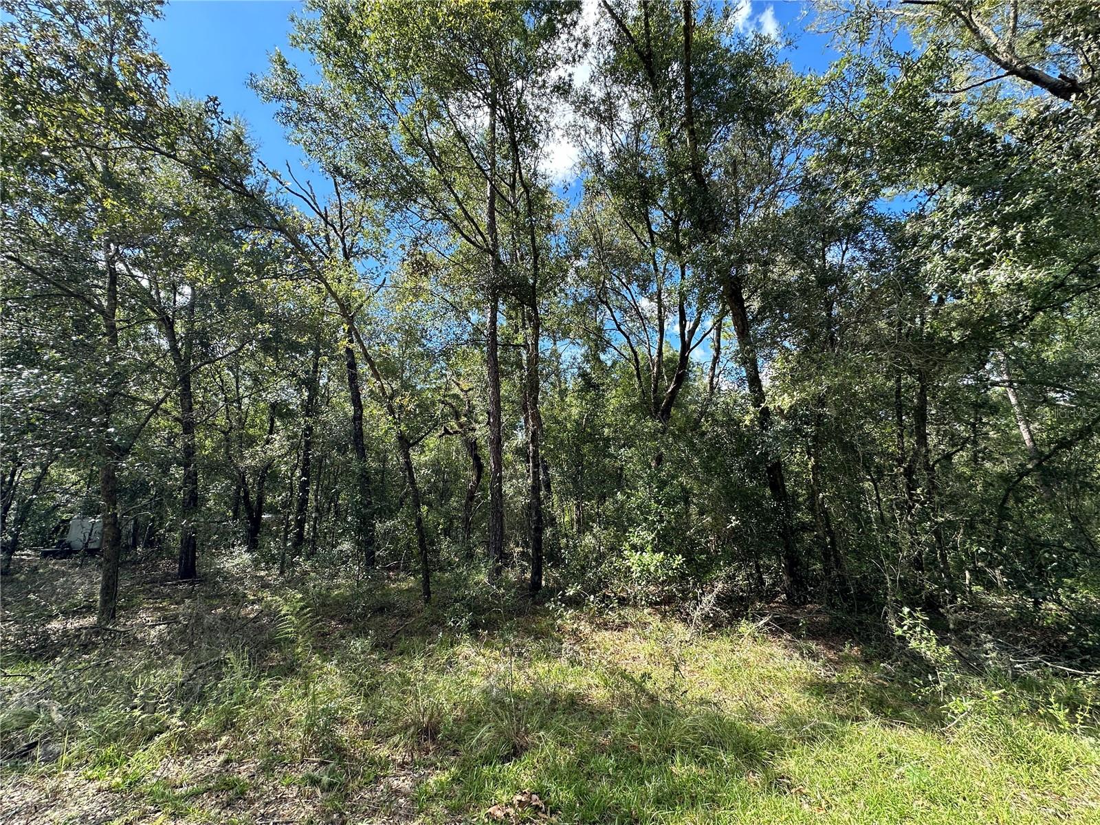 WILLISTON HIGHLANDS GOLF & C CLUB ESTATES - Land