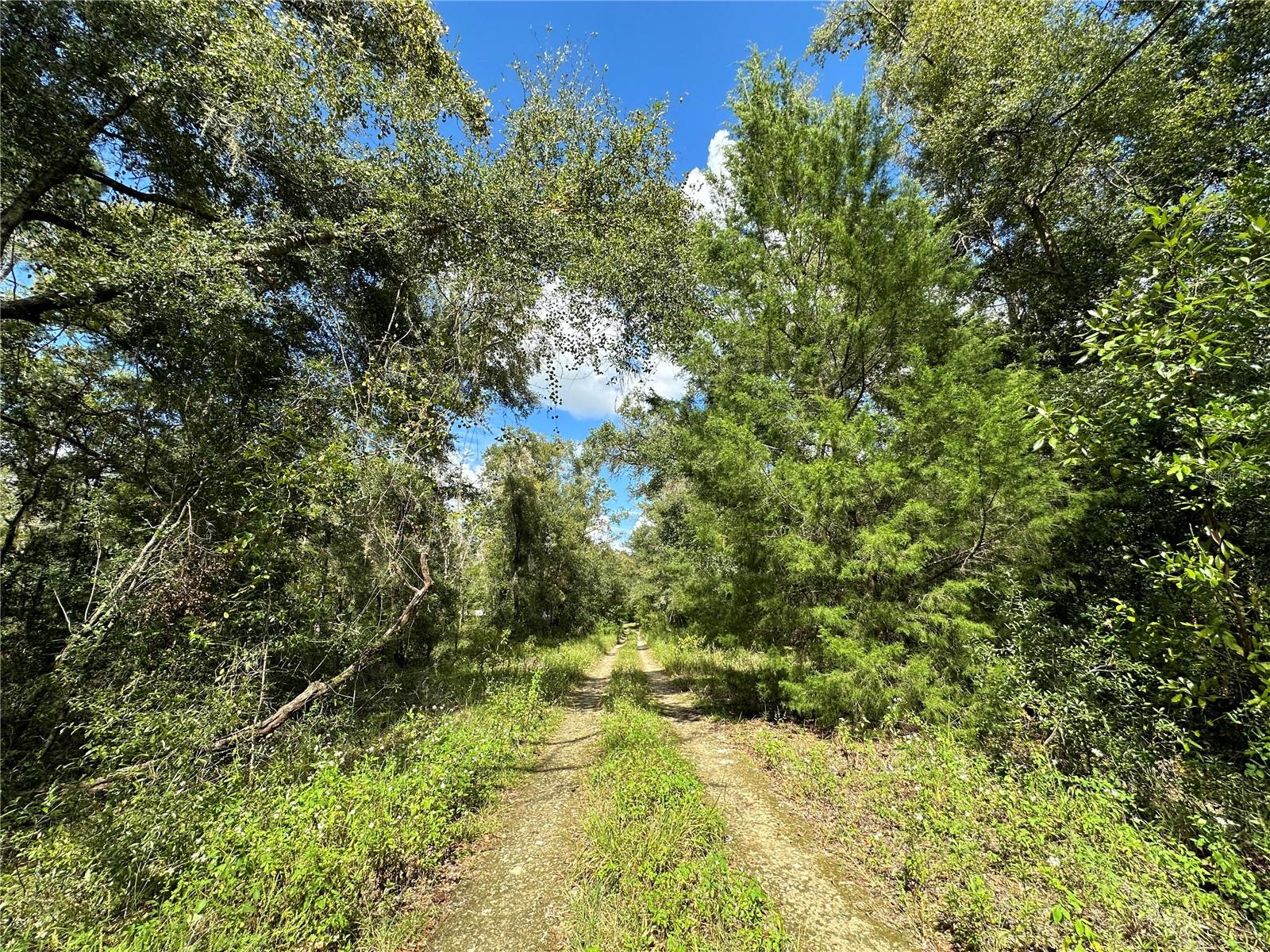 WILLISTON HIGHLANDS GOLF & C CLUB ESTATES - Land