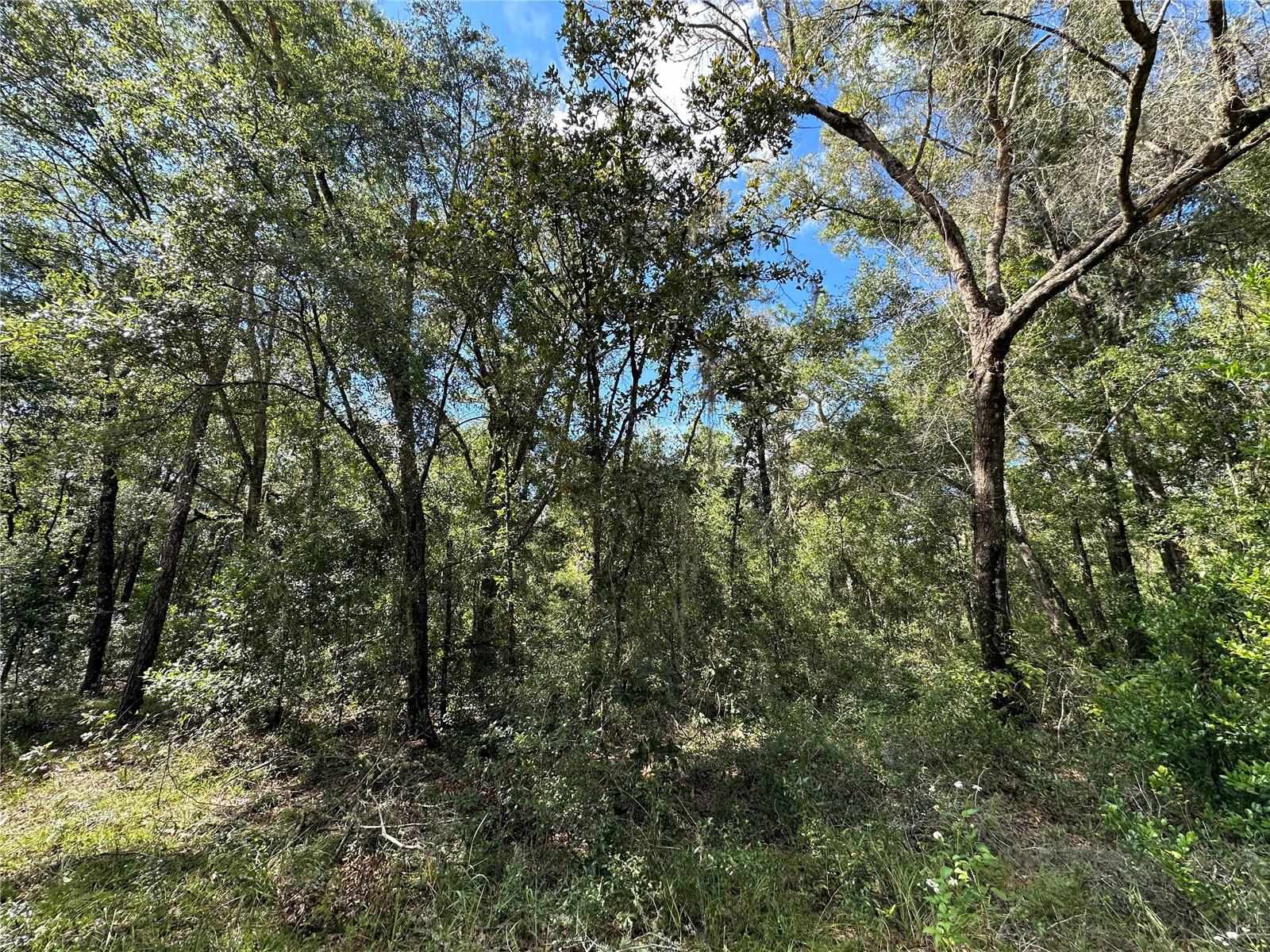 WILLISTON HIGHLANDS GOLF & C CLUB ESTATES - Land