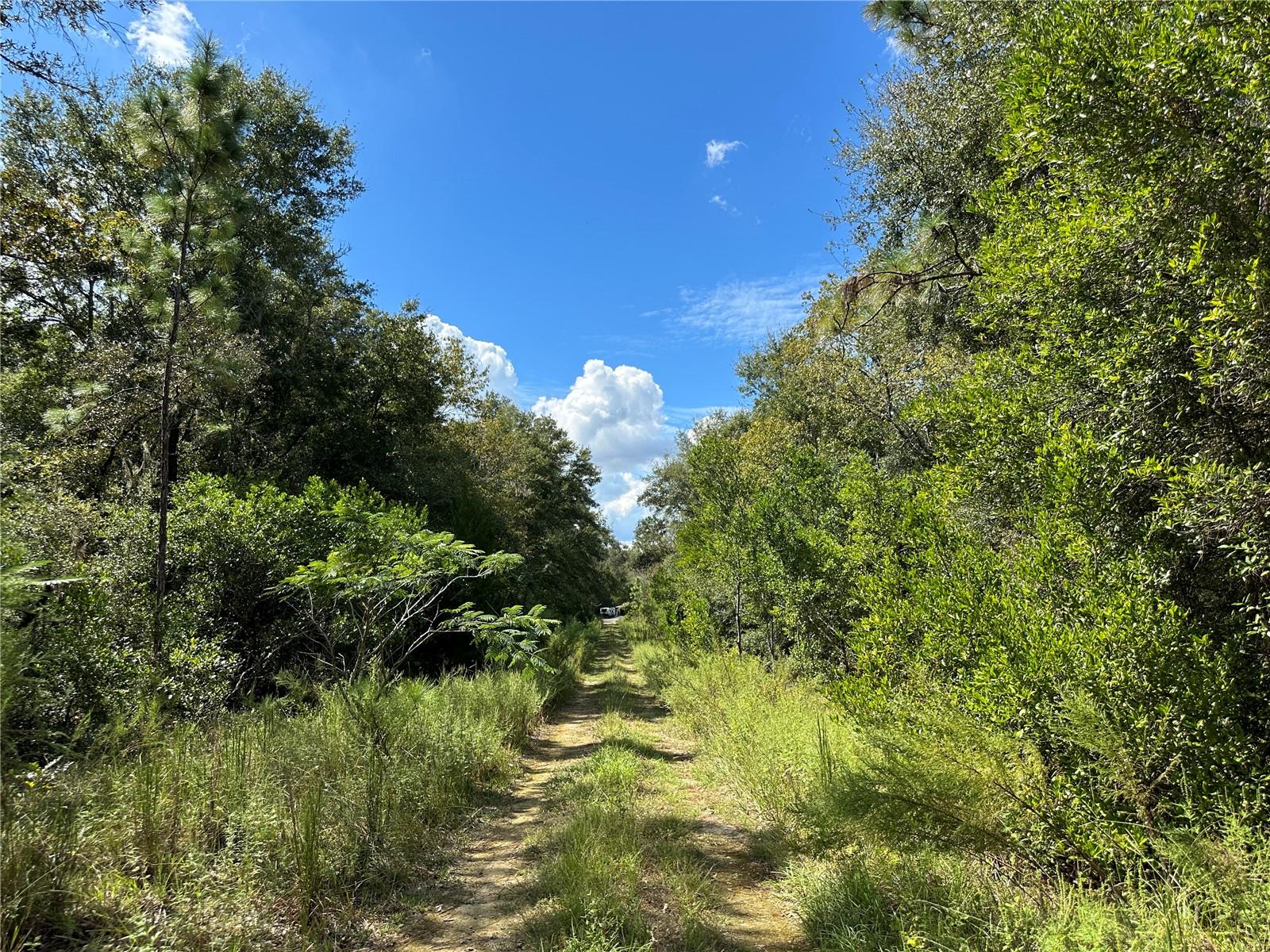 WILLISTON HIGHLANDS GOLF & C CLUB ESTATES - Land