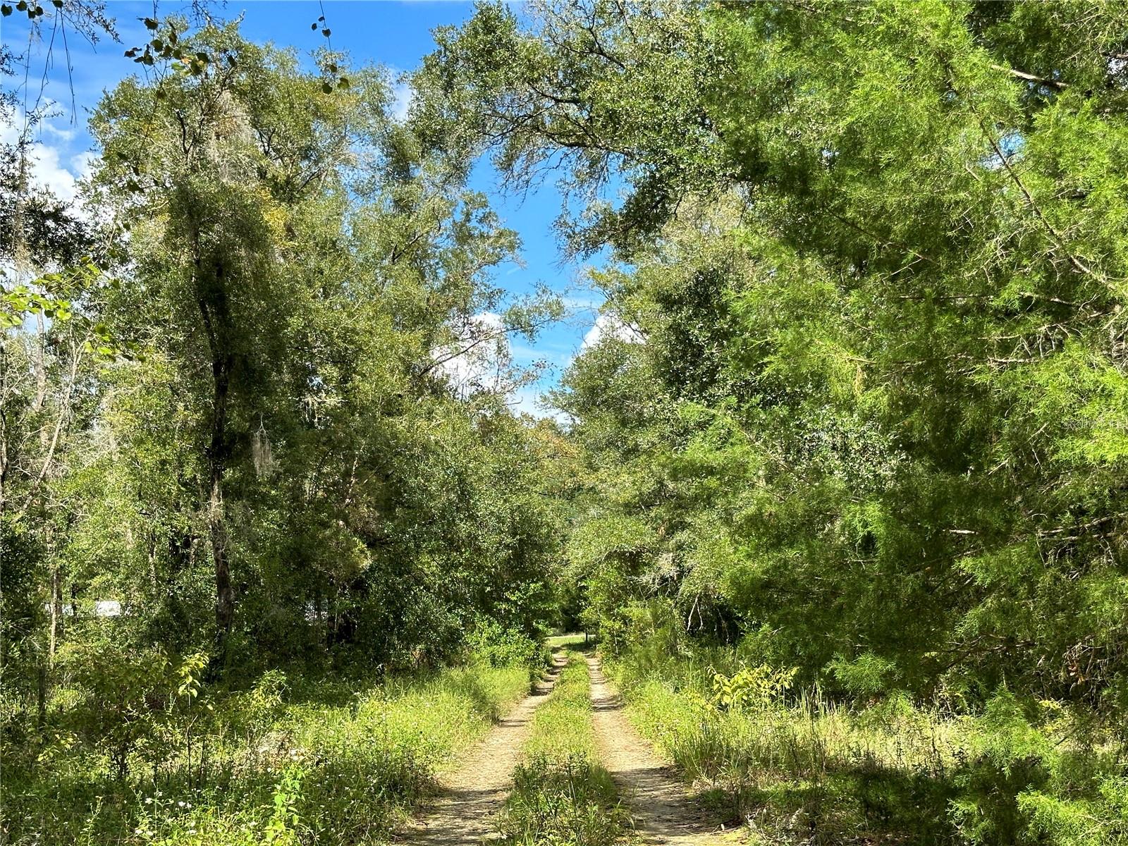 WILLISTON HIGHLANDS GOLF & C CLUB ESTATES - Land