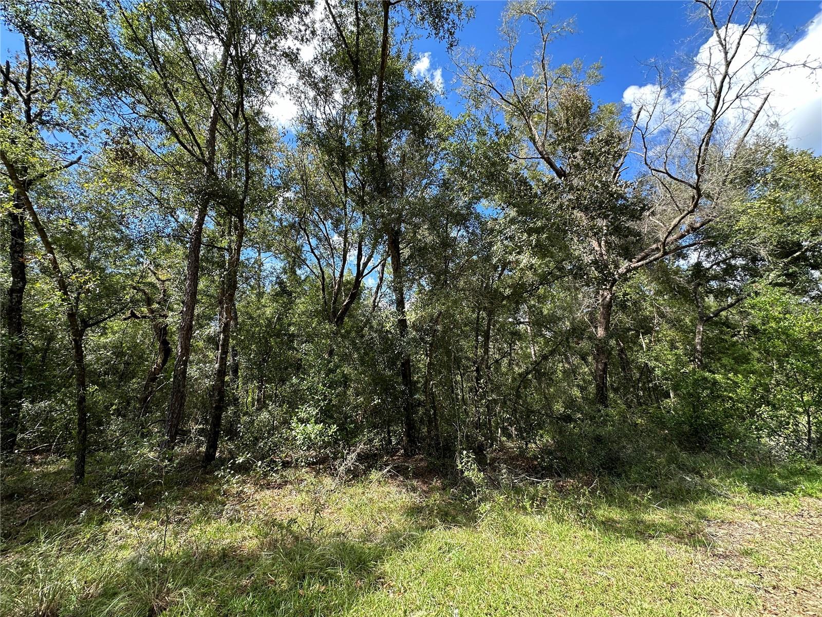 WILLISTON HIGHLANDS GOLF & C CLUB ESTATES - Land