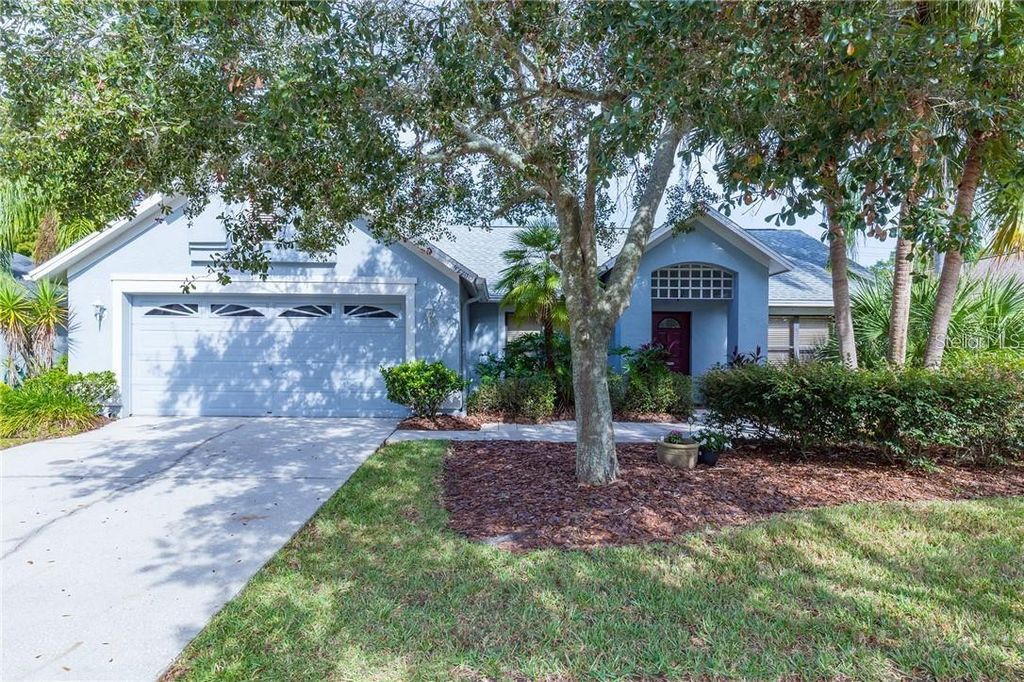 Photo of 9220 Dayflower Drive, Tampa, FL 33647 (MLS # TB8384728)