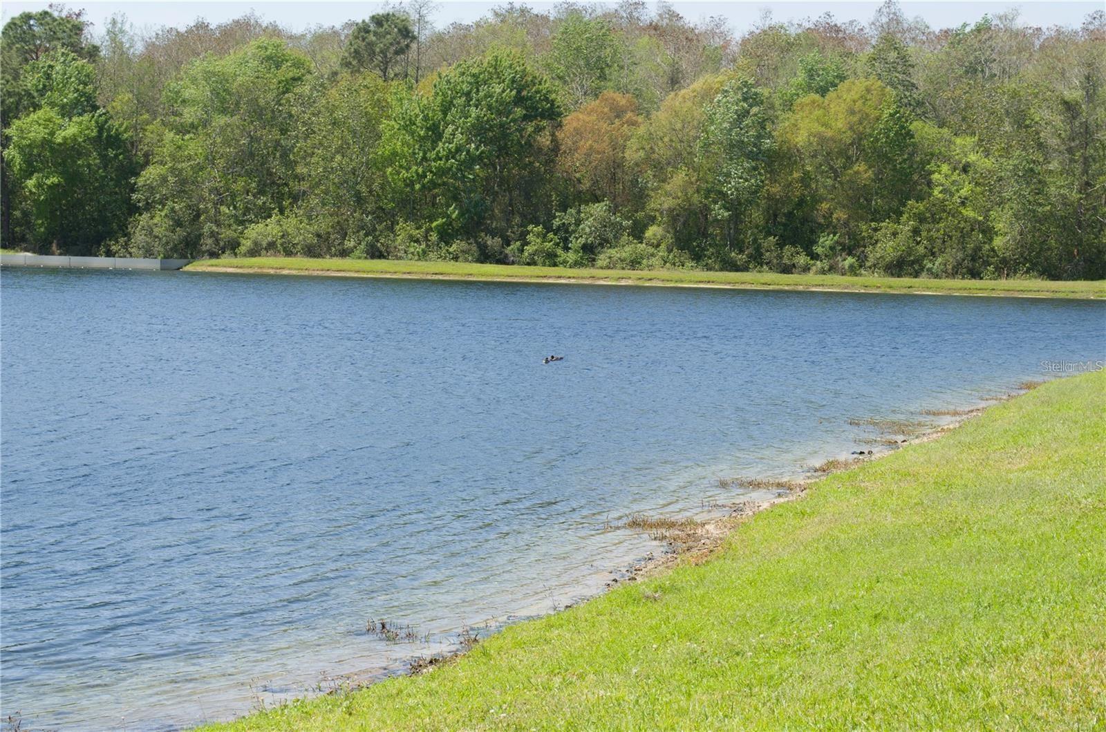 CARTER GLEN - Residential Lease