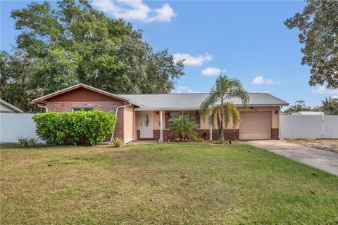 1023 MAYA AVENUE ORLANDO FL 32822