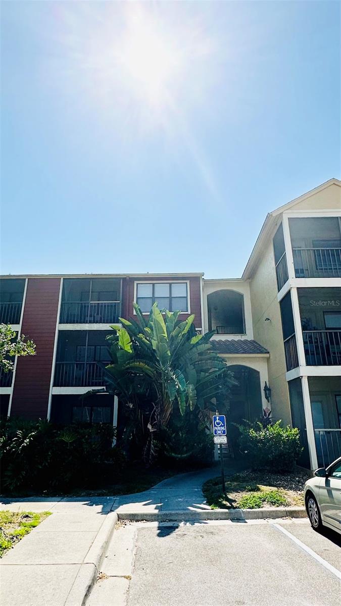 View SAINT PETERSBURG, FL 33716 condo