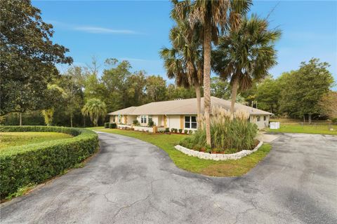 Tiny photo for 9825 SW 202 Avenue Road, Dunnellon, FL 34431 (MLS # OM714306)