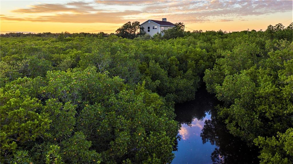 Photo of 7325 Holly Road, Terra Ceia, FL 34250 (MLS # A4688524)