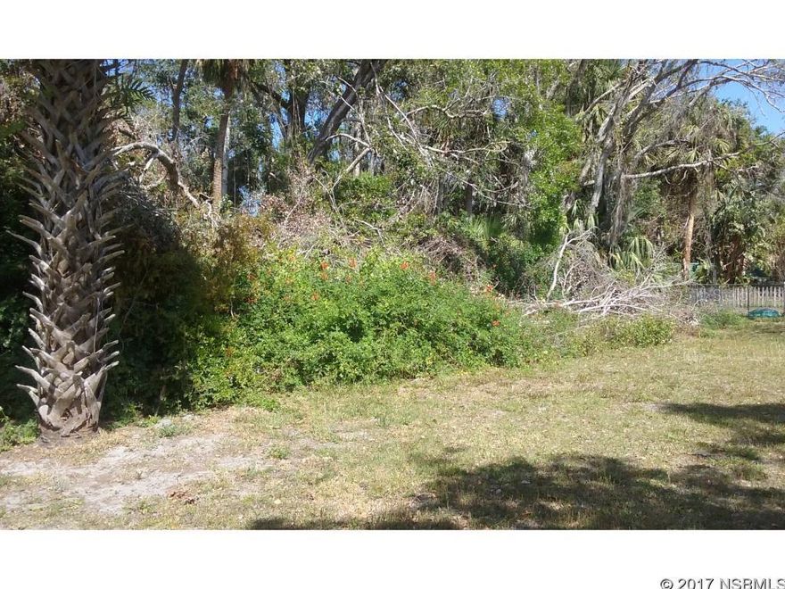 Great corner lot in Daytona Park Estates, come build your dream home, just a short drive to Daytona and area beaches, NASCAR and Daytona airport.; Cleared: No ;Water: Holding Tank
