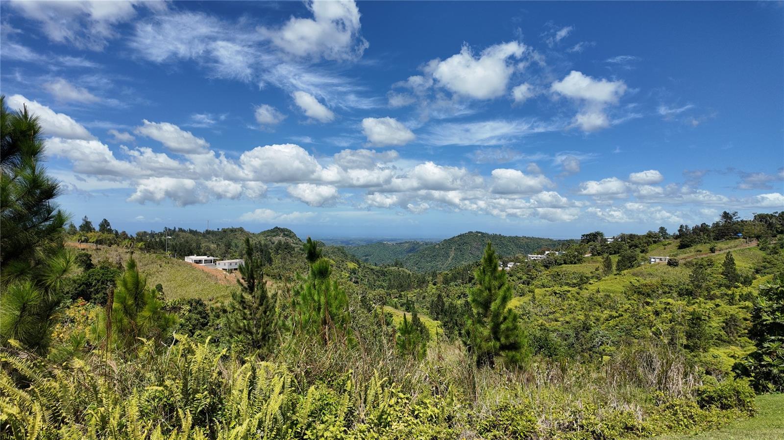 Carr 155 KM 33.1 INT BO. GATO