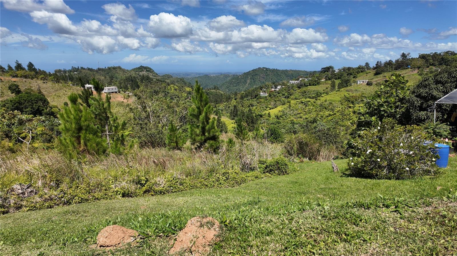 Carr 155 KM 33.1 INT BO. GATO