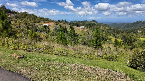 Carr 155 KM 33.1 INT BO. GATO OROCOVIS  00720