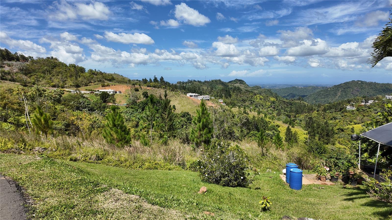 Carr 155 KM 33.1 INT BO. GATO