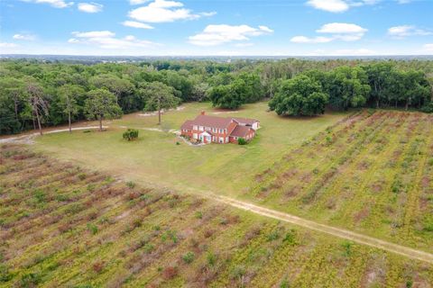 Tiny photo for 2500 Urick Street, Fruitland Park, FL 34731 (MLS # G5112208)