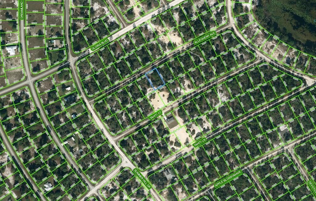 Photo of 411 Allegheny Avenue, Lake Placid, FL 33852 (MLS # OM624327)