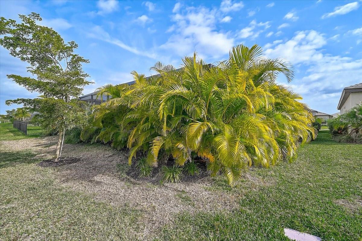 LORRAINE LAKES PH IIB-3 & IIC - Residential