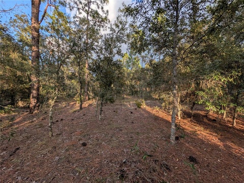 Tiny photo for NW Buena Vista Road, Dunnellon, FL 34431 (MLS # OM732680)