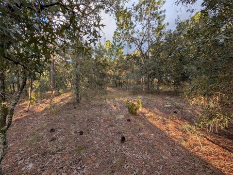 Tiny photo for NW Buena Vista Road, Dunnellon, FL 34431 (MLS # OM732680)