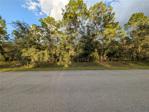 Photo of NW Buena Vista Road, Dunnellon, FL 34431 (MLS # OM732680)