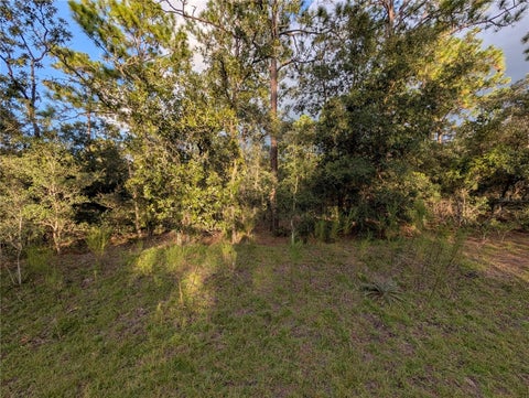 Tiny photo for NW Buena Vista Road, Dunnellon, FL 34431 (MLS # OM732680)