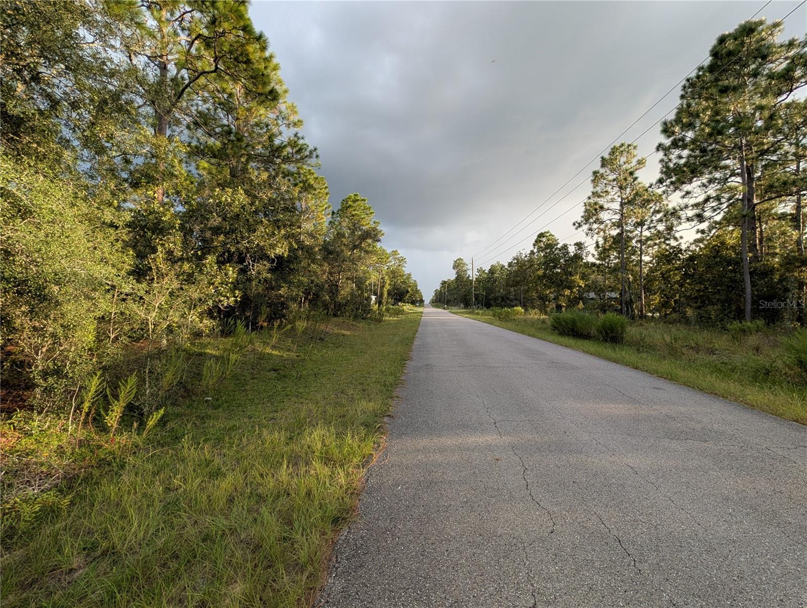 NW BUENA VISTA ROAD