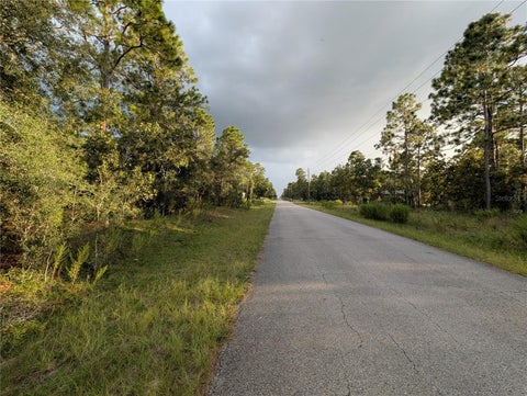 Tiny photo for NW Buena Vista Road, Dunnellon, FL 34431 (MLS # OM732680)
