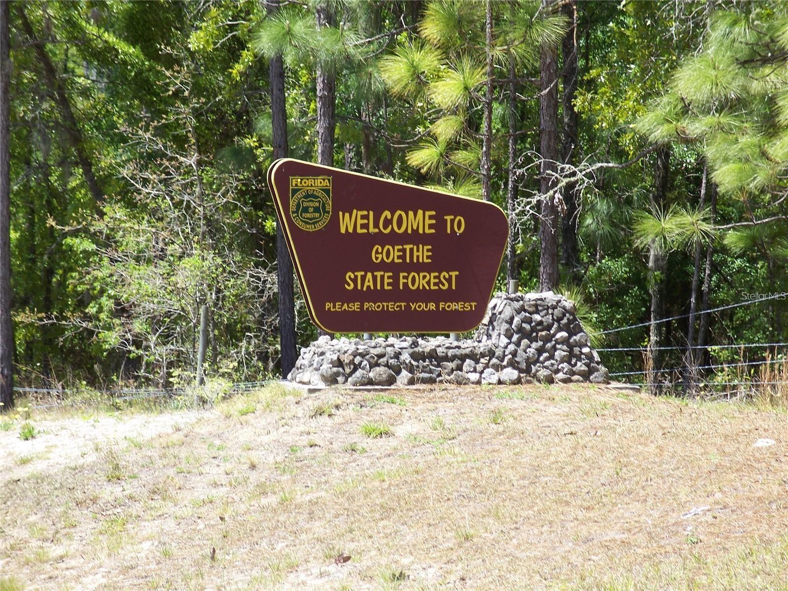 NW BUENA VISTA ROAD