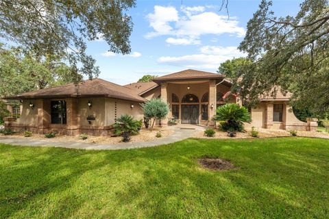 6491 LAUREL OAK DRIVE SPRING HILL FL 34607