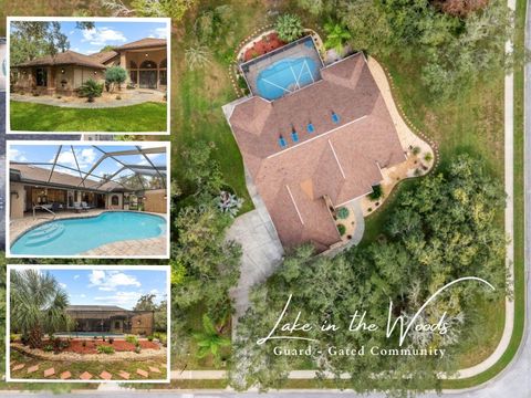 6491 LAUREL OAK DRIVE SPRING HILL FL 34607
