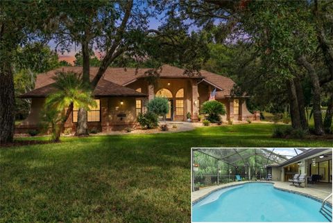 Photo of 6491 Laurel Oak Drive, Spring Hill, FL 34607 (MLS # TB8430226)