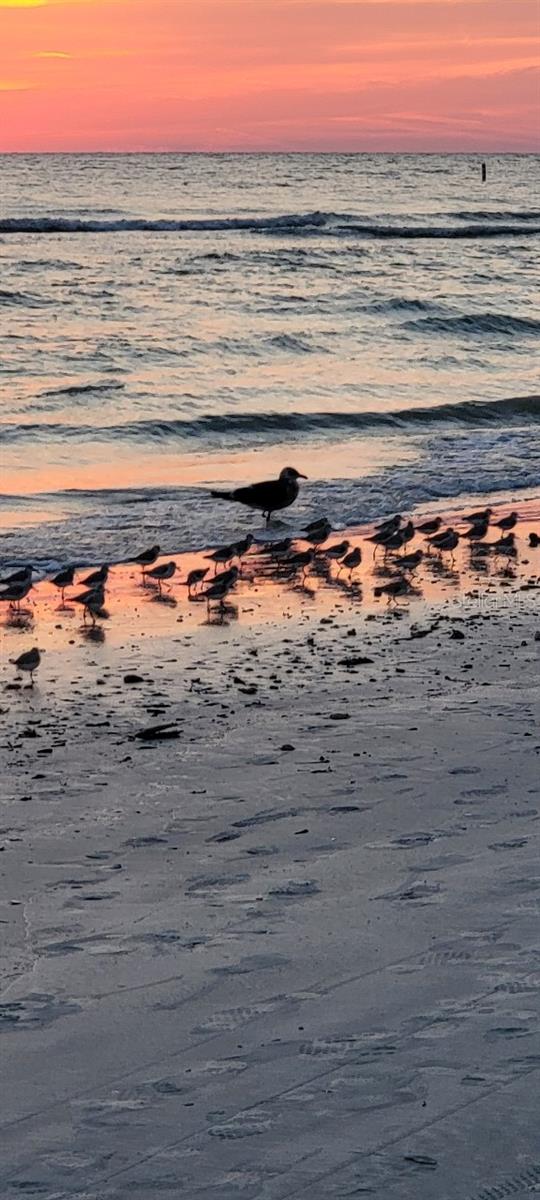 TIDES VILLAGE - VILLAGE SOUTH - Residential