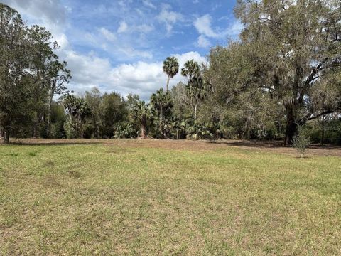 000 NE 184TH PLACE CITRA FL 32113