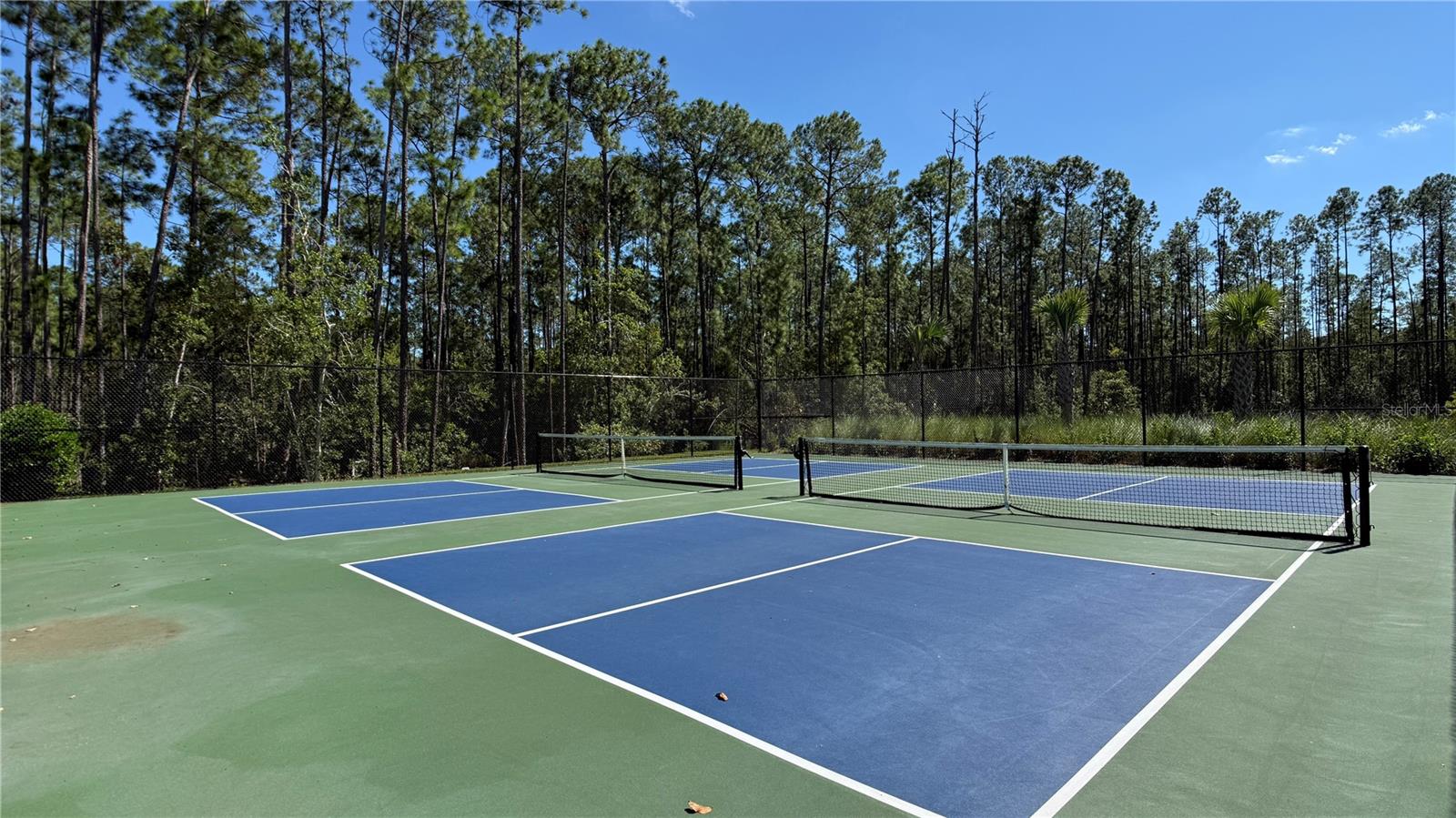 PALMS AT WINDERMERE - Residential Lease