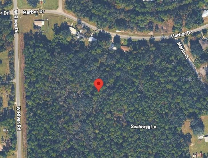 Photo of 105 Dolphin Lane, Palatka, FL 32177 (MLS # O6430655)