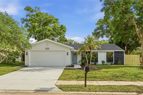 1023 MINEOLA CIRCLE PALM HARBOR FL 34683
