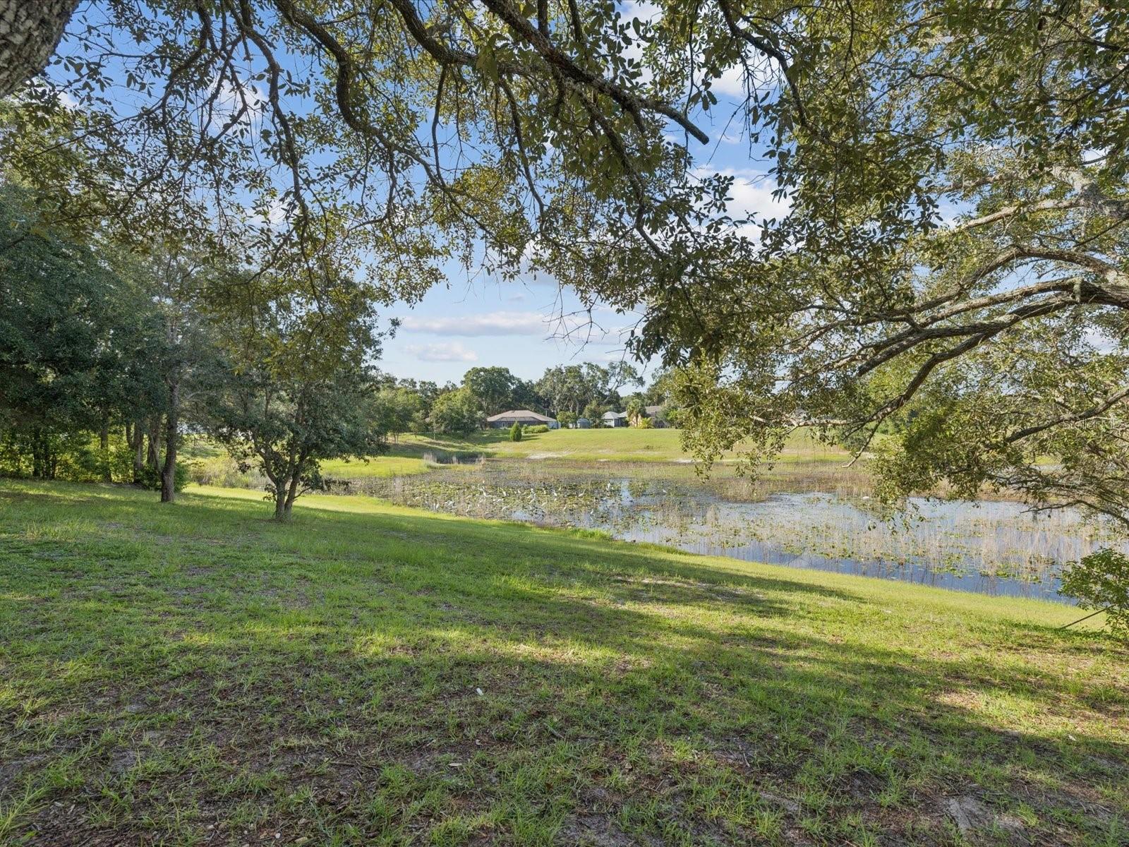 1051 CAMBAY LANE