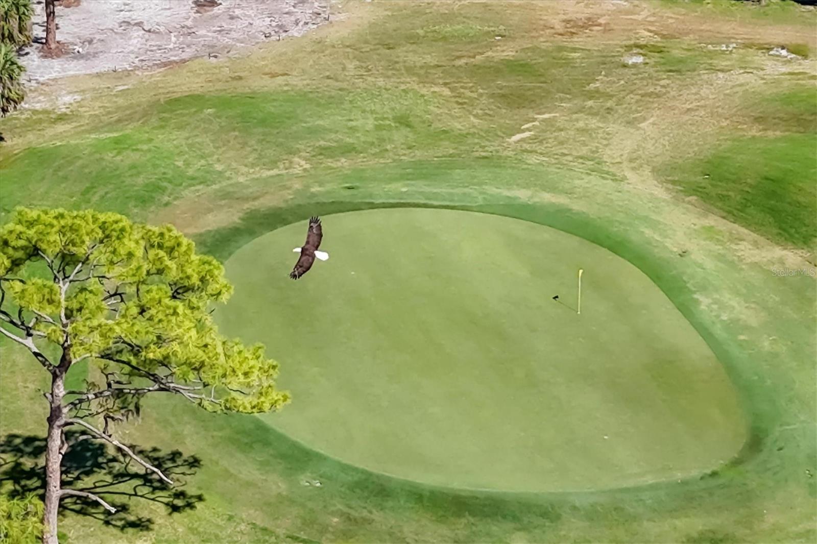 VILLA PALMERAS / PRESTANCIA - Residential