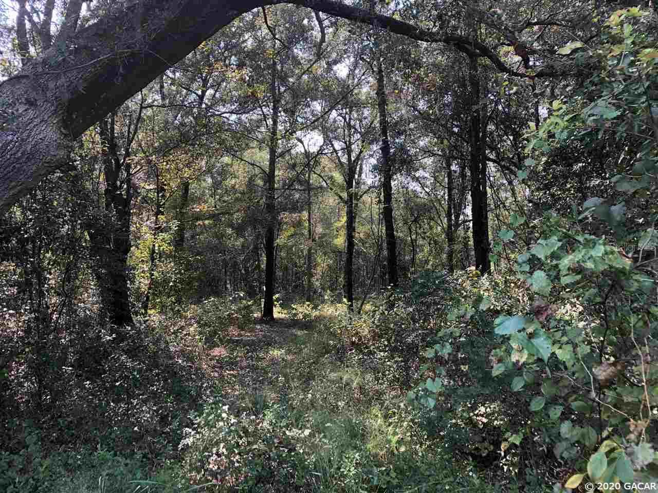Nice wooded 5 acres in Columbia County. Ready for your site built home or mobile home. Convenient location to High Springs, Fort White, Gainesville or Lake City. River and springs nearby for recreation. Feel the peace of country living!