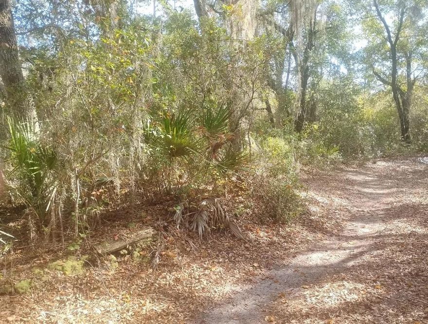 Over 1 acre lot - Build your DREAM HOME!