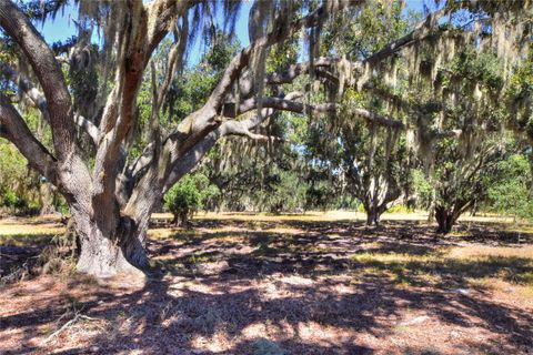 480 MOCCASIN HOLLOW ROAD LITHIA FL 33547