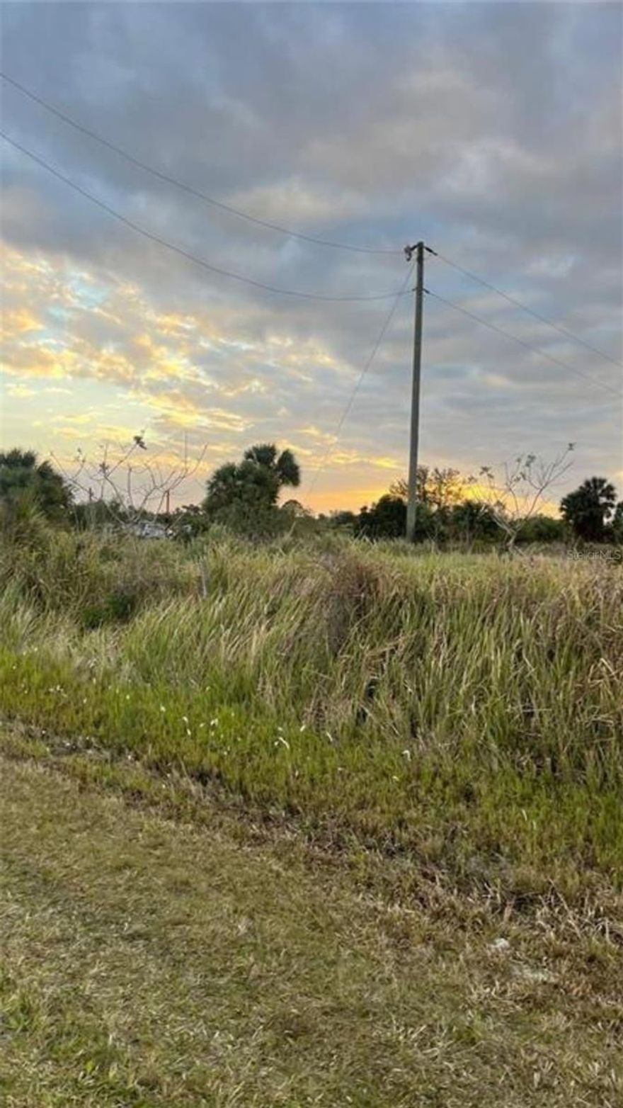1.25 ACRES HIGH AND DRY VACANT LAND FOR SALE IN OKEECHOBEE COUNTY, FLORIDA.  LAND PERPENDICULAR TO ML# O6315276.