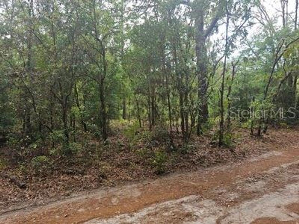 Photo of 00 SW 90 Street, Dunnellon, FL 34432 (MLS # OM723648)