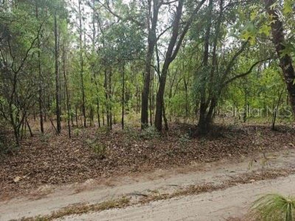 Photo of 00 SW 90 Street, Dunnellon, FL 34432 (MLS # OM723648)