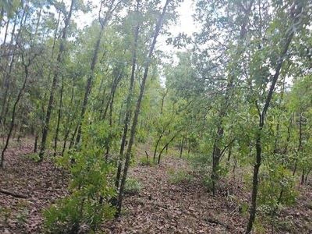 Photo of 00 SW 90 Street, Dunnellon, FL 34432 (MLS # OM723648)