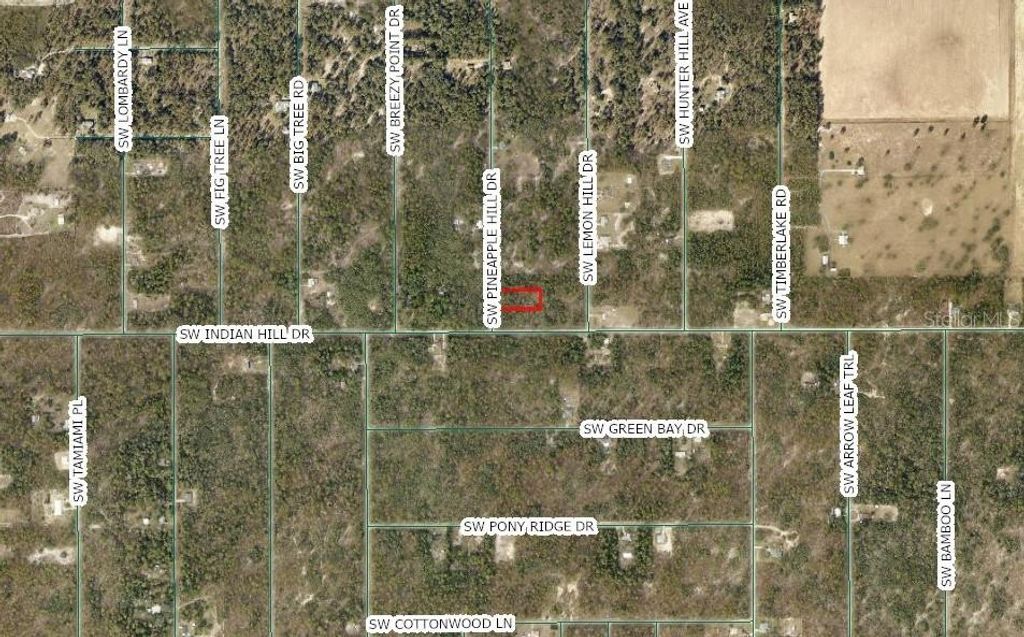 Photo of SW Pineapple Hill Drive, Dunnellon, FL 34431 (MLS # C7528514)