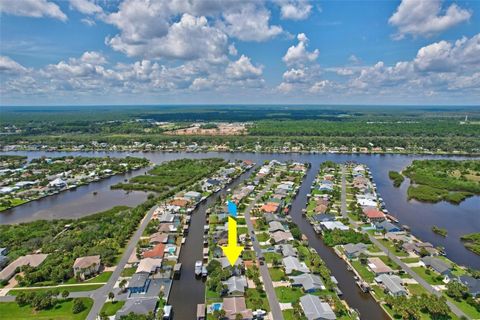 A home in FLAGLER BEACH