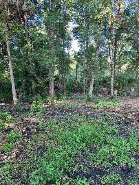 EUREKA HAMMOCK - Land