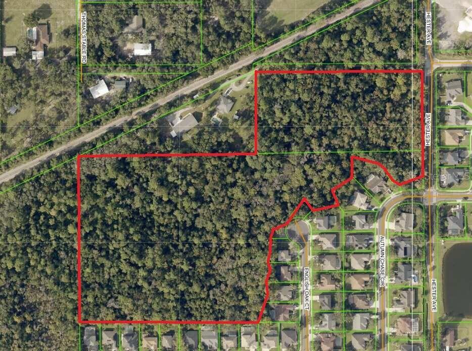 EUREKA HAMMOCK - Land